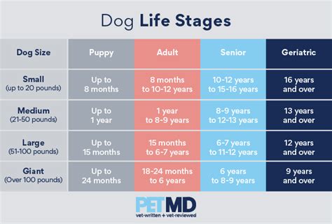  Feeding stage-of-life specific recipes allows your dog to have the optimal nutrients for the life stage they are in