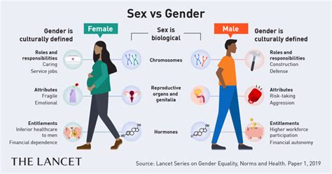  Females and males process substances differently due to differences in body weight, length, surface area, cellular water levels, and hormones
