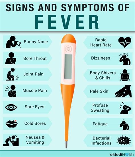  Fever and infection Signs of a fever or infection include a dry nose that feels hot to the touch; warm ears; red eyes ; shivering; lack of energy; loss of appetite; coughing; and vomiting