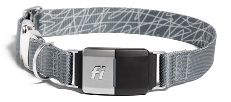  Fi dog collars come with built-in GPS tracking, providing peace of mind if your pug ever gets lost