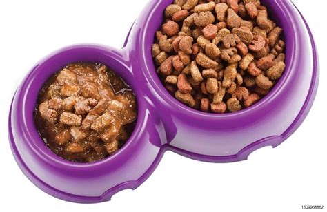  Fill the dropper with the appropriate dose and add it on top of wet food or dry kibble