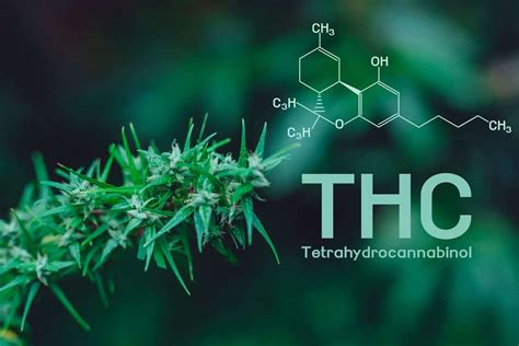  Finally, a Home Detox System that Works! What is THC? Tetrahydrocannabinol, colloquially called THC, is a psychoactive compound primarily found in Cannabis sativa