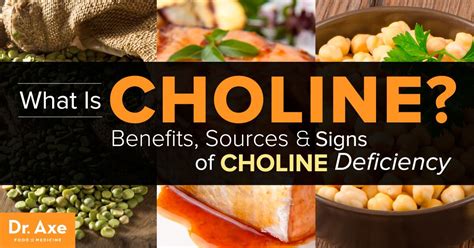  Finally, and very importantly for a Frenchie, choline enhances muscle movement