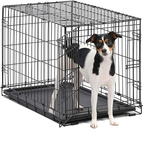  Finally, metal crates with bars is the best crate for bulldogs