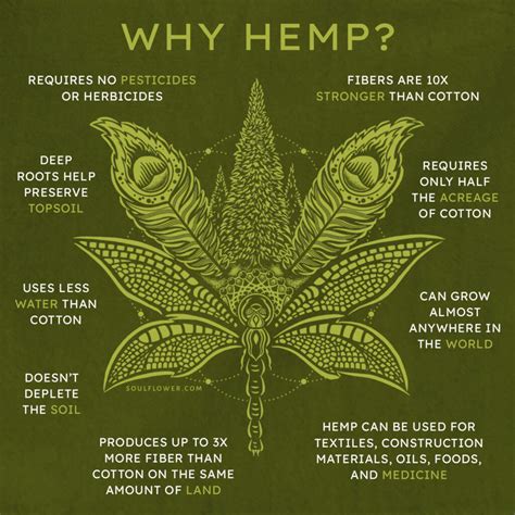  Find out the hemp source
