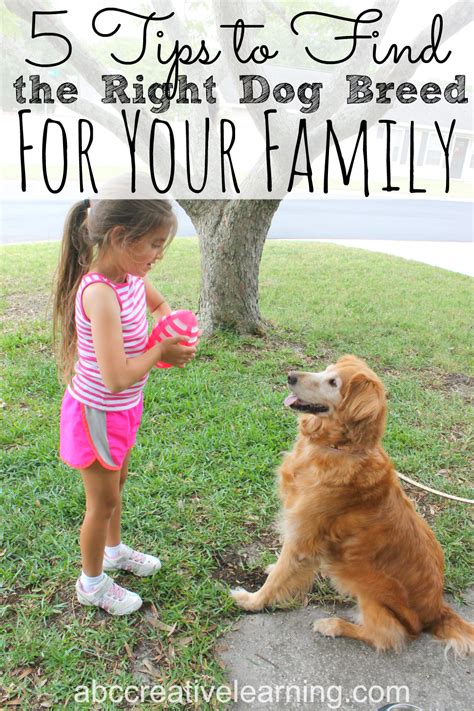  Find the Right Puppy for Your Family
