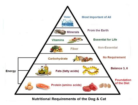  Finding a diet a dog or cat can live a relatively normal life with is the key here