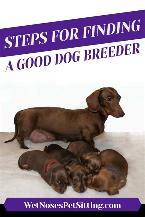  Finding a good breeder can be really hard, especially because the internet is filled with cute photos and slick marketing disguising poor breeding practices