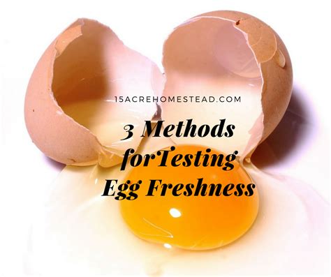 First, make sure the eggs are fresh