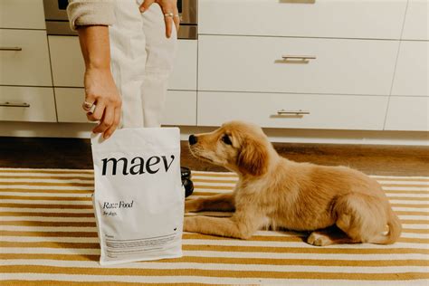  First off, opt for puppy-specific formulas that meet their nutritional requirements