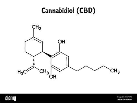  Firstly what is CBD? CBD, or cannabidiol, is a compound found in the cannabis plant