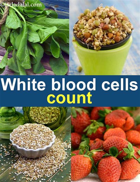  Flavonoids that may support the growth of white blood cells to fight infections