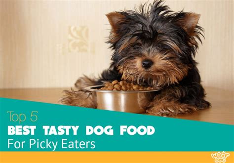  Flavor Dogs are picky eaters by nature, but that doesn