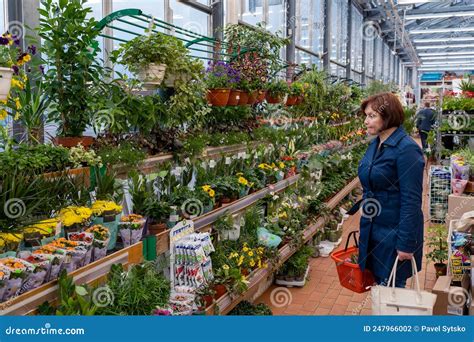  Flores Video Minsk