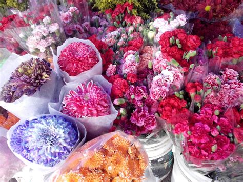  Flores Yelp Dandong