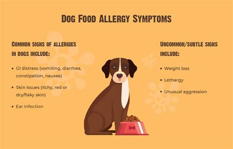  Food allergies While it is true that dogs adore chicken, it is also the food that causes allergies in dogs the most frequently