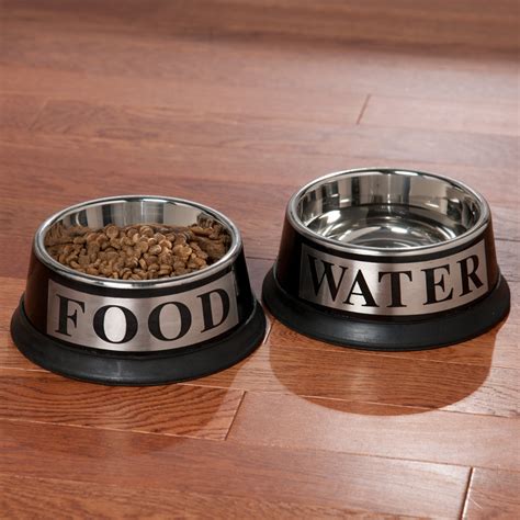  Food and Water Bowls All puppies need access to clean, fresh water