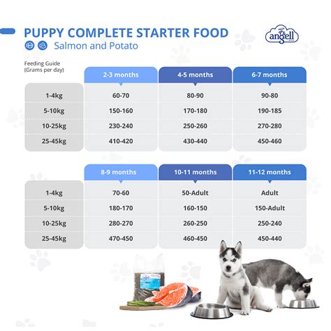  For Bulldog puppies under 6 months, give them food 3 times a day, all they can eat