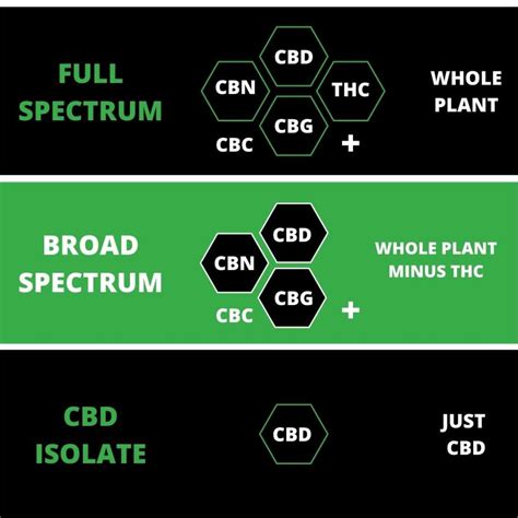  For all these reasons, full or broad spectrum CBD is generally considered a better option for dogs and people than CBD isolate