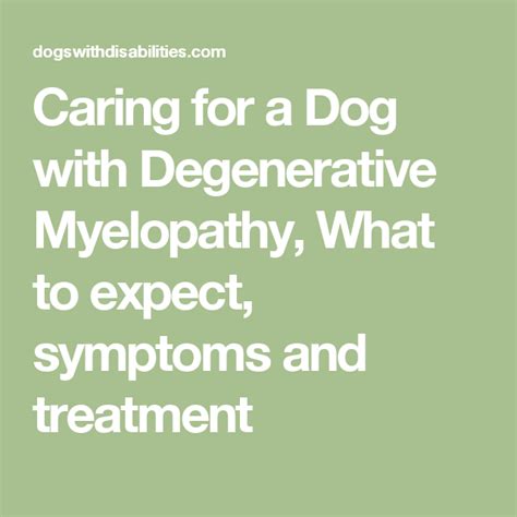  For all things major, including hips, elbows, eyes, degenerative Myelopathy etc… Love
