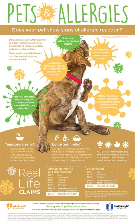  For allergies, vet checkups will help you get the appropriate treatments