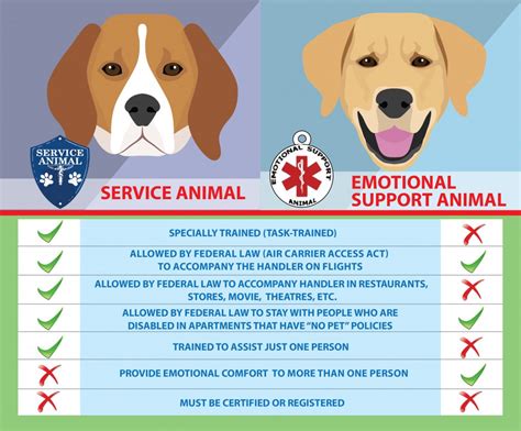  For an emotional support animal, there is no better choice