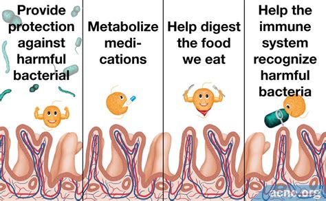  For example, antibiotics can destroy healthy gut flora causing digestion problems