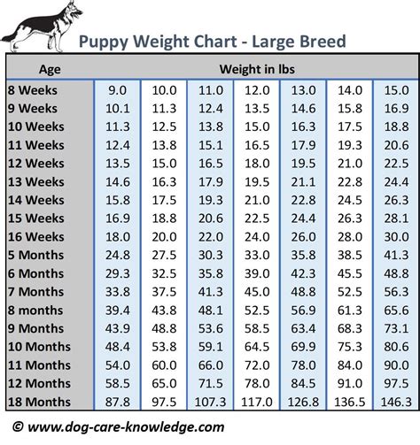  For example, if your 3-month-old GSD puppy is a male and weighs 30 pounds, you should feed him approximately 2 cups per day