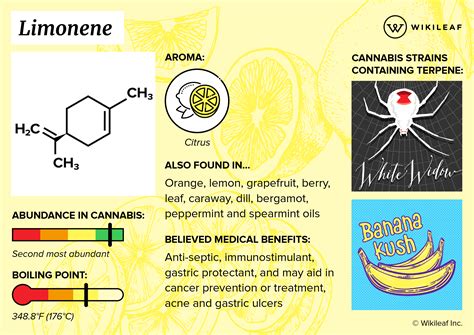  For example, some research suggests that some terpenes, like limonene, may be toxic to pets