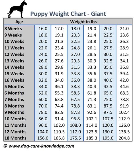  For further details on growth rates for GMDs and for help with predicting the potential adult size of your pup, take a look at our size chart and interactive growth calculator here