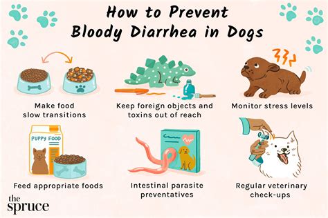  For instance, keep an eye out for diarrhea if you change your pup