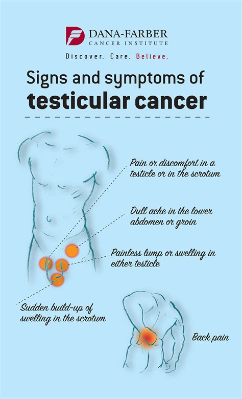  For males, it can prevent testicular cancer, lessen aggression, and prevent them from wandering off looking for females, which can get them lost or injured