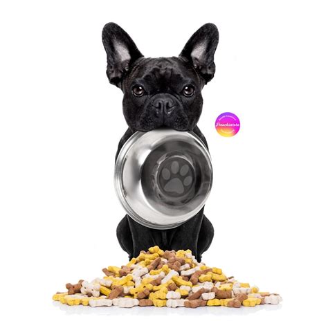  For more on feeding your Frenchie, see our guidelines for buying the right food , feeding your puppy , and feeding your adult dog
