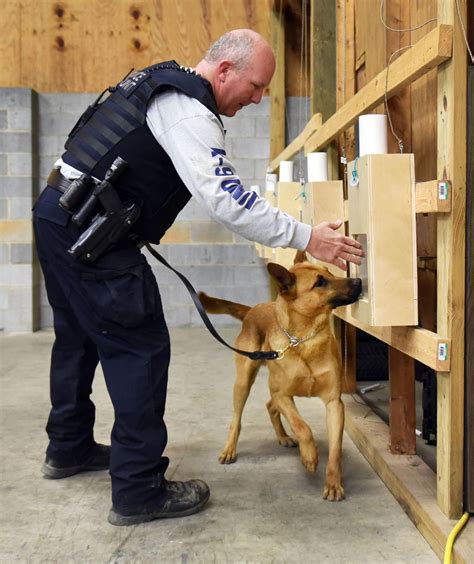  For police officers, dogs are not only their best friends but allies, highly valued for their drug-detecting abilities