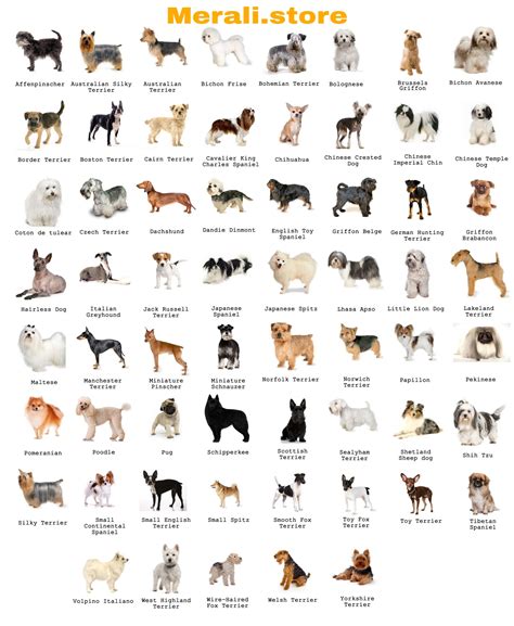  For the complete list please see our Listings of Breeders page