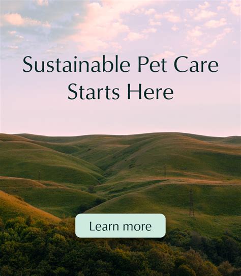  Fortunately, Pet Releaf is here to offer a solution