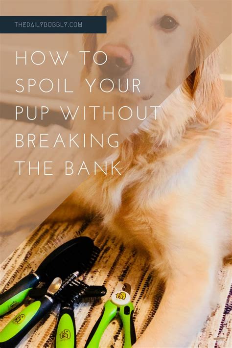  Fortunately, there are several ways to find a great pup without breaking the bank