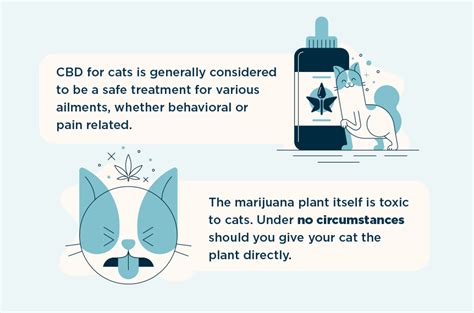  Fortunately, when sourced from reputable manufacturers and administered at appropriate doses, CBD is generally considered safe for cats