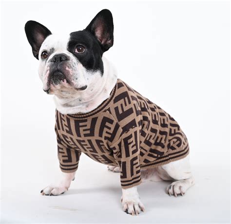  French Bulldog Clothes French Bulldogs have a unique body structure, with a small and compact build