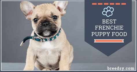  French bulldog puppies need food that contains protein, fat, vitamins and minerals
