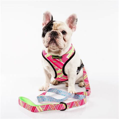  Frenchie Dog harness and leash set on a low budget: We get it! Owning a Frenchie can get expensive
