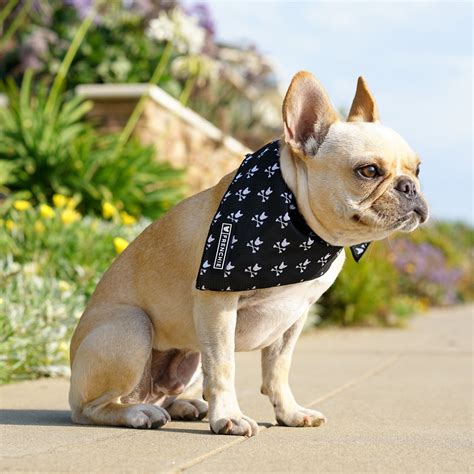  Frenchie bulldog crafts luxe collars, cooling bandanas, and hoodies!!!! Frenchie Bulldog understands this ethos, creating stylish harnesses and apparel that not only keep your furry friend looking good, but also keep them comfy and safe with its soft and flexible materials