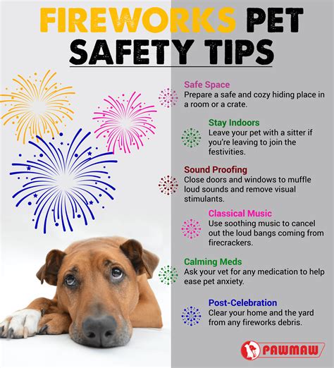  Friendly reminder to put collars and tags on your pets during the days around 4th of July so they can be easily identified and returned if they get scared and run away
