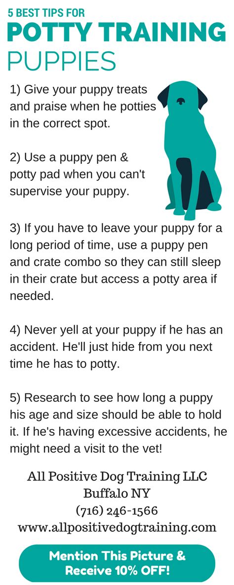  From puppy gates to preparing for toilet training, our downloadable guide tells you everything you need to know about bringing a puppy home