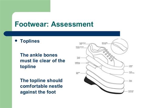  From the side, the topline should remain firm and level