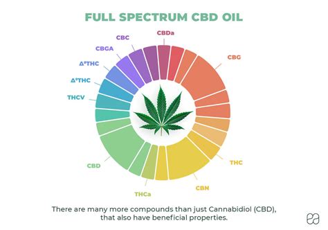  Full-spectrum CBD is known for being especially effective due to the combined interactions of all essential cannabinoids and other natural plant compounds