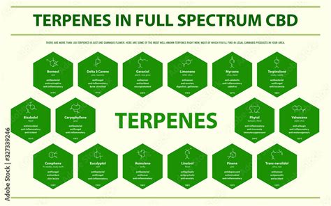  Full-spectrum CBD oils include terpenes and other beneficial plant matter that can boost effectiveness, but these plant compounds do impart flavor