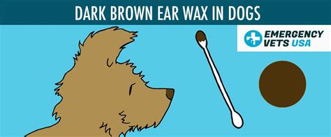  Furthermore, since they have deep ears, these dogs accumulate ear wax quicker than the other dogs