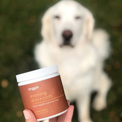  Furthermore, the oil can be seamlessly integrated into their regimen for dogs already on medications or other treatments, ensuring they receive a consistent and appropriate dose