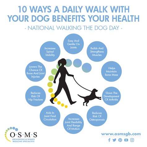  Generally, your dog will start to experience benefits within roughly 30 to 45 minutes